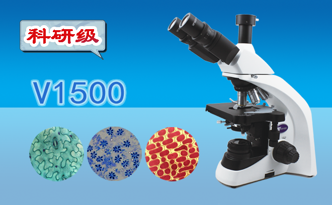 1660790890118785.png 光學顯微鏡.png