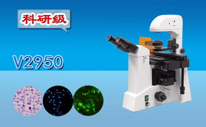 1660877687252924.png 倒置熒光顯微鏡2.png