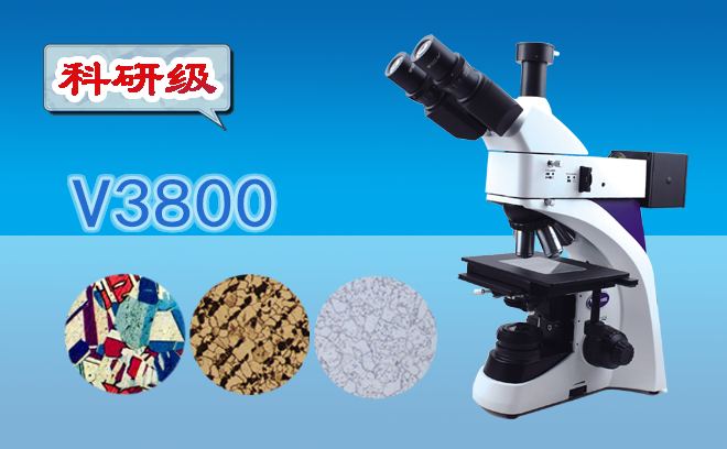 1762911243161757.png 1762911243161757.png